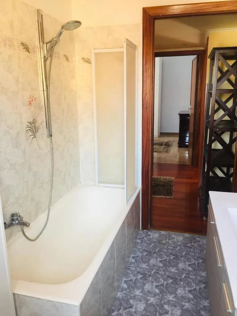 Casa Alex Apartment Marino Italy